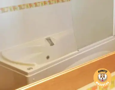 Hoteles con bañera de hidromasaje en la habitación Huesca