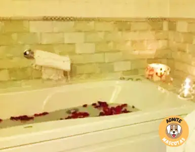 Hoteles con bañera de hidromasaje en la habitación Huesca