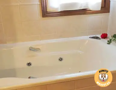 Hoteles con bañera de hidromasaje en la habitación Huesca