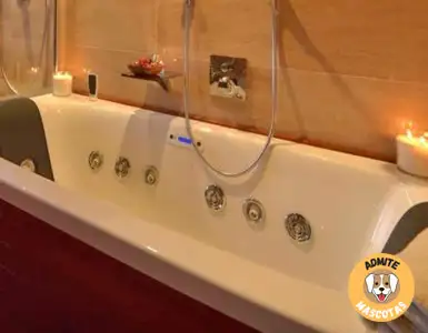 Hoteles con bañera de hidromasaje en la habitación Huesca