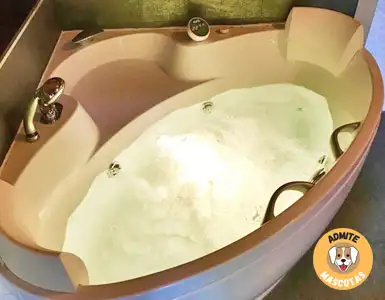 Hoteles con bañera de hidromasaje en la habitación Huesca