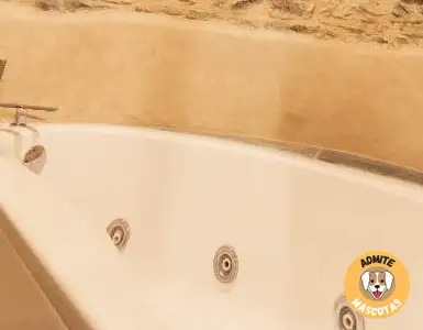 Hoteles con bañera de hidromasaje en la habitación Huesca