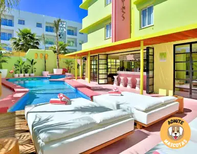 Hoteles Solo Adultos Ibiza
