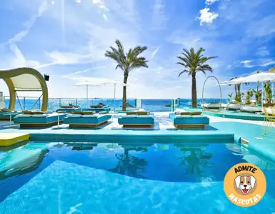 Hoteles Solo Adultos Ibiza