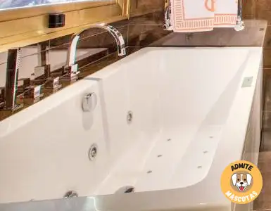 Hoteles con bañera de hidromasaje en la habitación Jaén