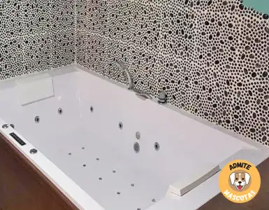 Hoteles con bañera de hidromasaje en la habitación Jaén