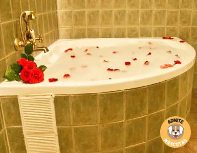 Hoteles con bañera de hidromasaje en la habitación Jaén