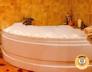 Hoteles con bañera de hidromasaje en la habitación Jaén
