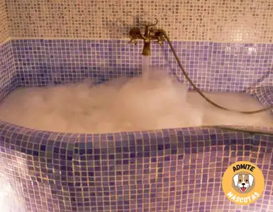 Hoteles con bañera de hidromasaje en la habitación Jaén