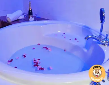 Hoteles con bañera de hidromasaje en la habitación Jaén