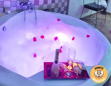 Hoteles con jacuzzi en la habitación Jaén