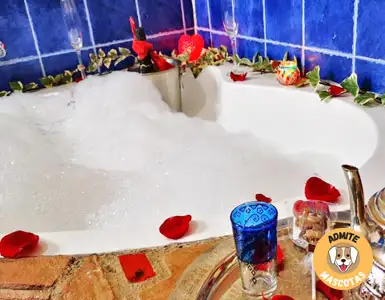 Hoteles con jacuzzi en la habitación Jaén