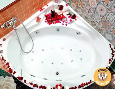 Hoteles con jacuzzi en la habitación Jaén