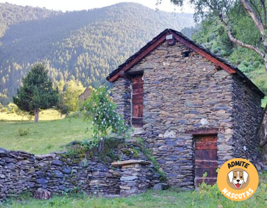 Glamping Lleida, Àreu