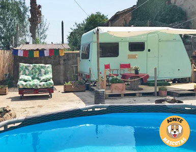 Glamping Lleida, Solsona
