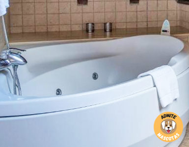 Hoteles con jacuzzi en la habitación Lleida