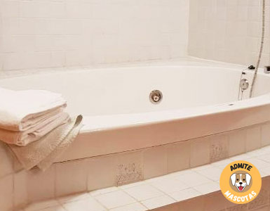 Hoteles con jacuzzi en la habitación Lleida