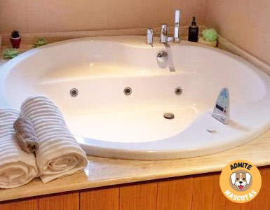 Hoteles con jacuzzi en la habitación Lleida