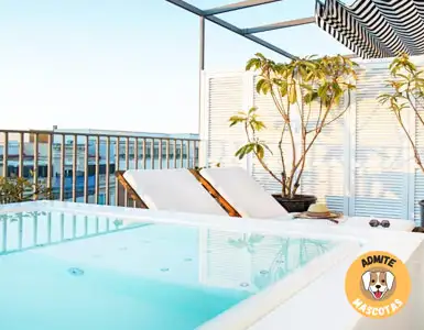 Hoteles con bañera de hidromasaje en la habitación Madrid