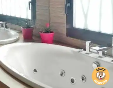 Hoteles con jacuzzi en la habitación Madrid