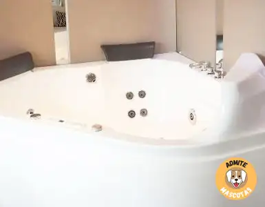 Hoteles con jacuzzi en la habitación Madrid
