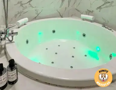 Hoteles con jacuzzi en la habitación Madrid