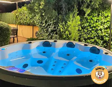 Hoteles con jacuzzi en la habitación Madrid