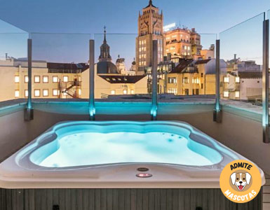 Hoteles con jacuzzi en la habitación Madrid