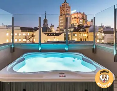 Hoteles con jacuzzi en la habitación Madrid