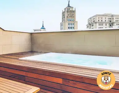 Hoteles con jacuzzi en la habitación Madrid