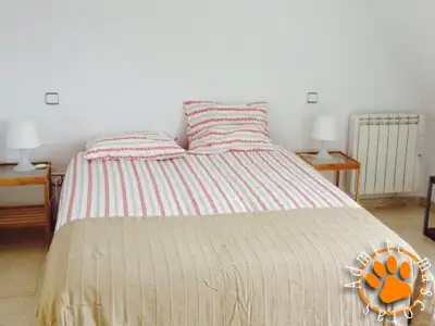 Hoteles que admiten perros IFEMA Madrid Hoteles que admiten perros IFEMA Madrid