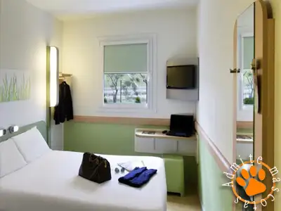 Hoteles que admiten perros IFEMA Madrid Hoteles que admiten perros IFEMA Madrid
