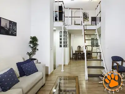 Hoteles que admiten perros IFEMA Madrid Hoteles que admiten perros IFEMA Madrid