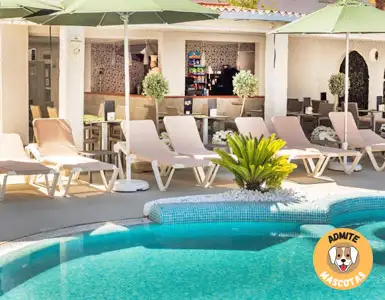Hoteles Solo Adultos Mallorca