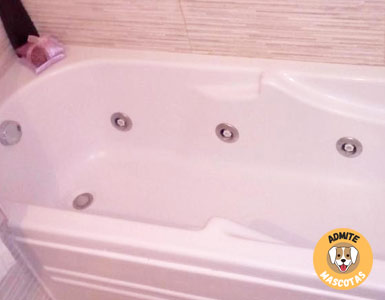Hoteles con jacuzzi en la habitación Murcia