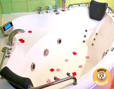 Hoteles con jacuzzi en la habitación Murcia