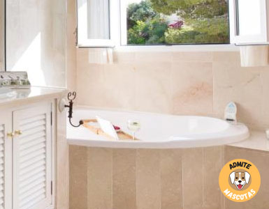 Hoteles con jacuzzi en la habitación Murcia