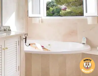 Hoteles con jacuzzi en la habitación Murcia