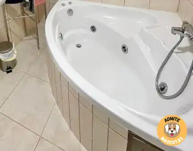 Hoteles con jacuzzi en la habitación Murcia