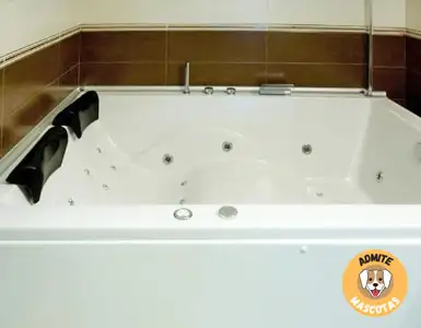 Hoteles con jacuzzi en la habitación Palencia