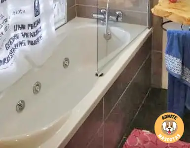 Hoteles con jacuzzi en la habitación Palencia