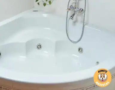 Hoteles con jacuzzi en la habitación Segovia