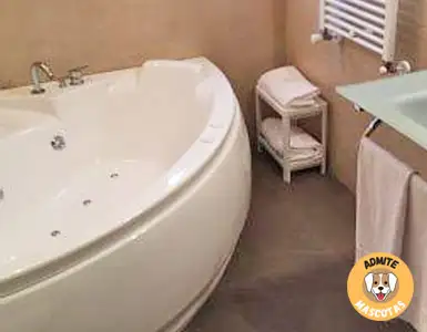 Hoteles con jacuzzi en la habitación Segovia