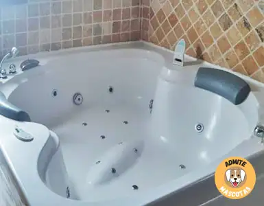 Hoteles con jacuzzi en la habitación Segovia