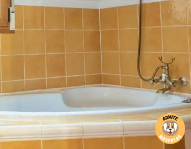 Hoteles con jacuzzi en la habitación Segovia