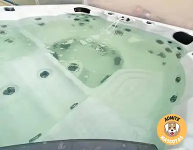 Hoteles con jacuzzi en la habitación Segovia