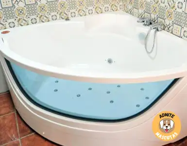 Hoteles con jacuzzi en la habitación Segovia
