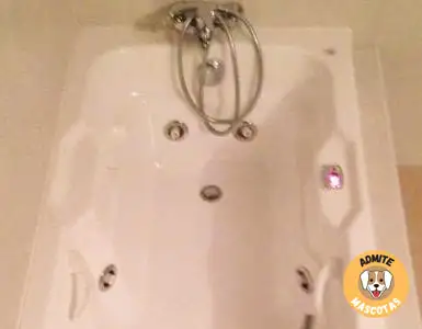 Hoteles con jacuzzi en la habitación Segovia