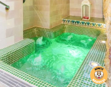 Hoteles con jacuzzi en la habitación Sevilla, Peñaflor