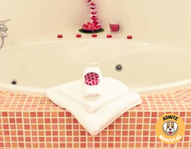 Hoteles con jacuzzi en la habitación Sevilla